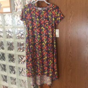 Lularoe XS Disney print Carly dress